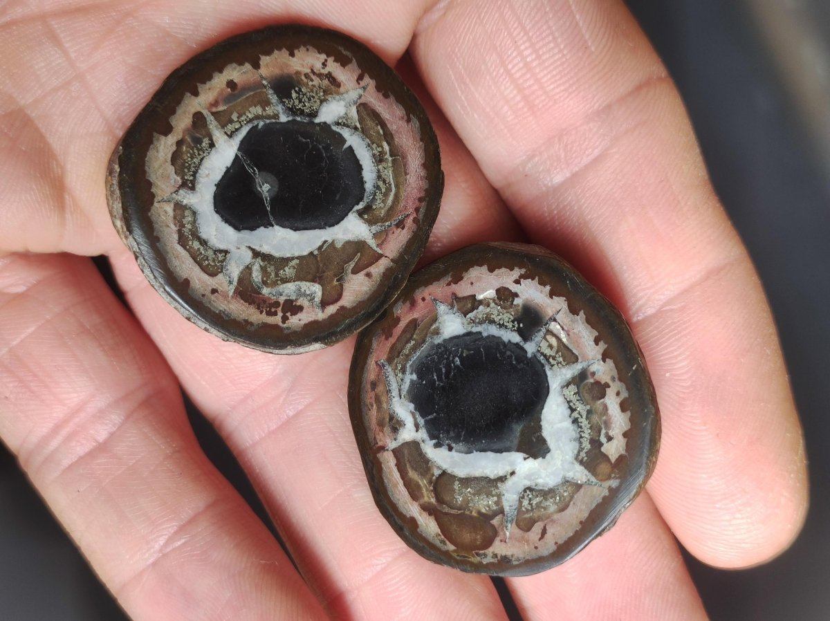 Septarie / Septischer Knoten - Edelstein Roh schwarz braun Nuss Deko Sammler Marokko Geschenk Kristall Heilstein Er Sie Freundin Unikat - Art of Nature Berlin