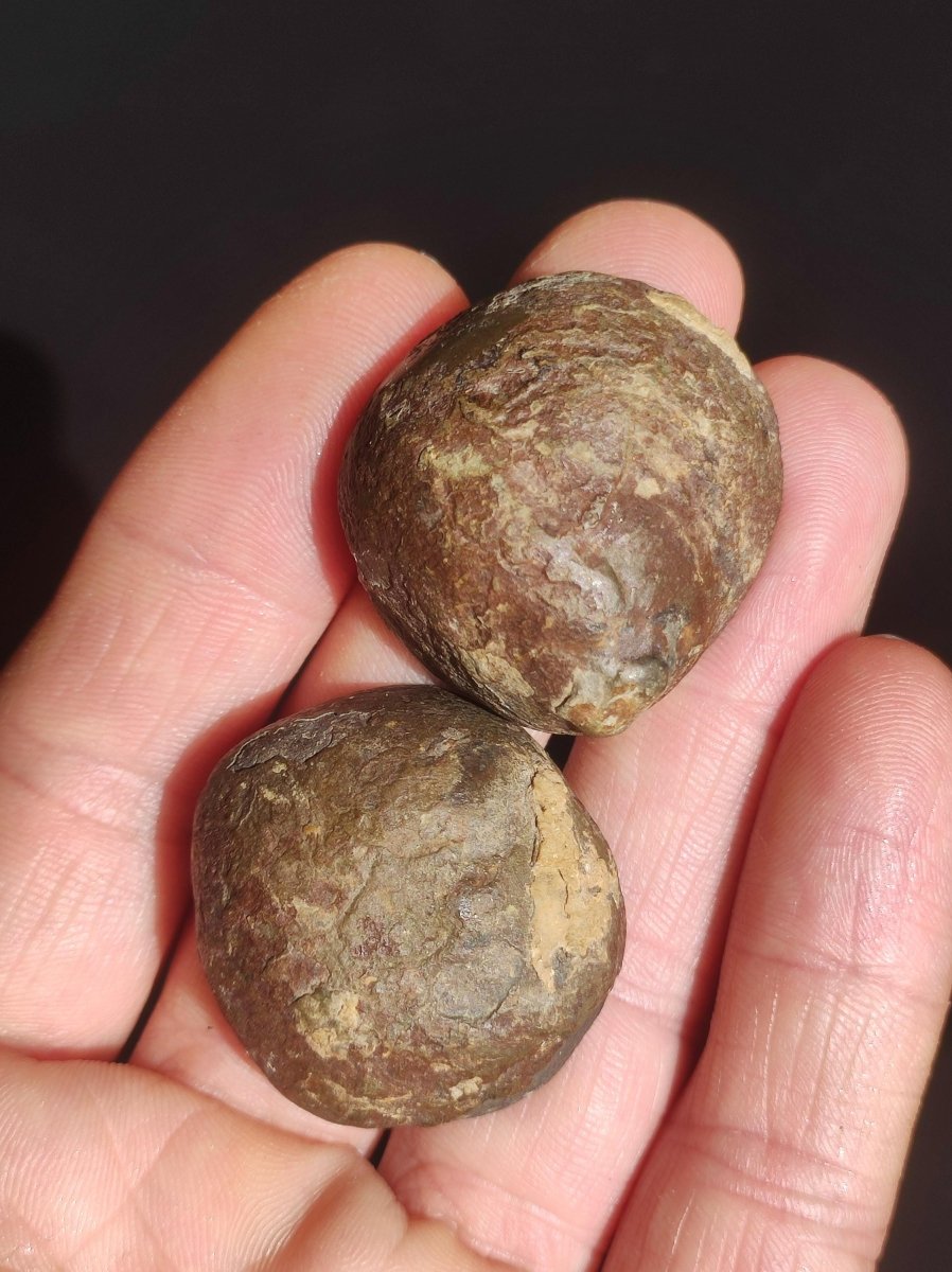 Septarie / Septischer Knoten - Edelstein Roh schwarz braun Nuss Deko Sammler Marokko Geschenk Kristall Heilstein Er Sie Freundin Unikat - Art of Nature Berlin