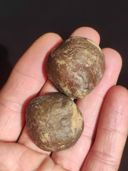 Septarie / Septischer Knoten - Edelstein Roh schwarz braun Nuss Deko Sammler Marokko Geschenk Kristall Heilstein Er Sie Freundin Unikat - Art of Nature Berlin