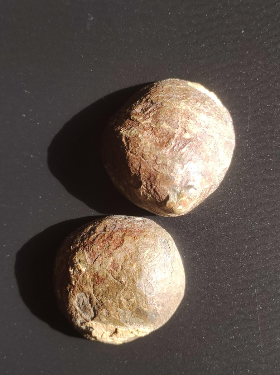 Septarie / Septischer Knoten - Edelstein Roh schwarz braun Nuss Deko Sammler Marokko Geschenk Kristall Heilstein Er Sie Freundin Unikat - Art of Nature Berlin