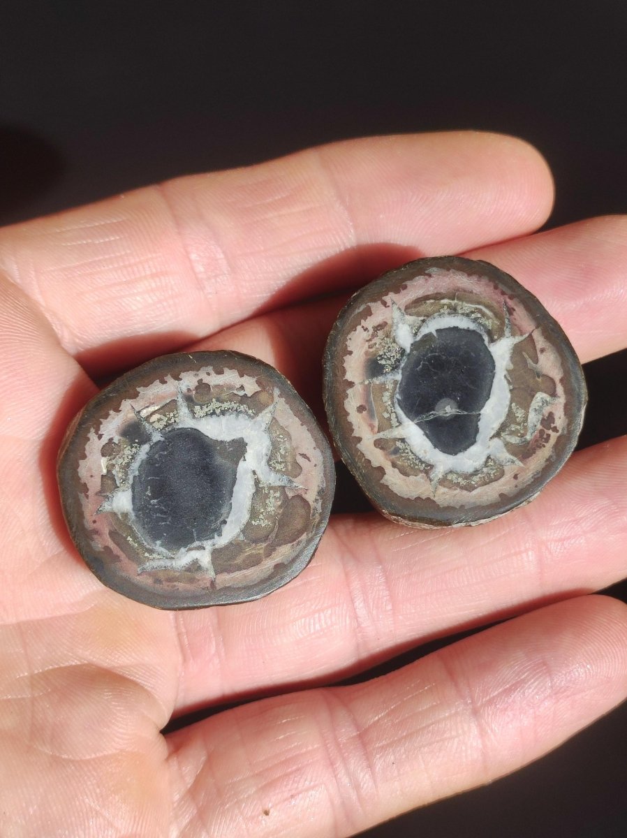 Septarie / Septischer Knoten - Edelstein Roh schwarz braun Nuss Deko Sammler Marokko Geschenk Kristall Heilstein Er Sie Freundin Unikat - Art of Nature Berlin