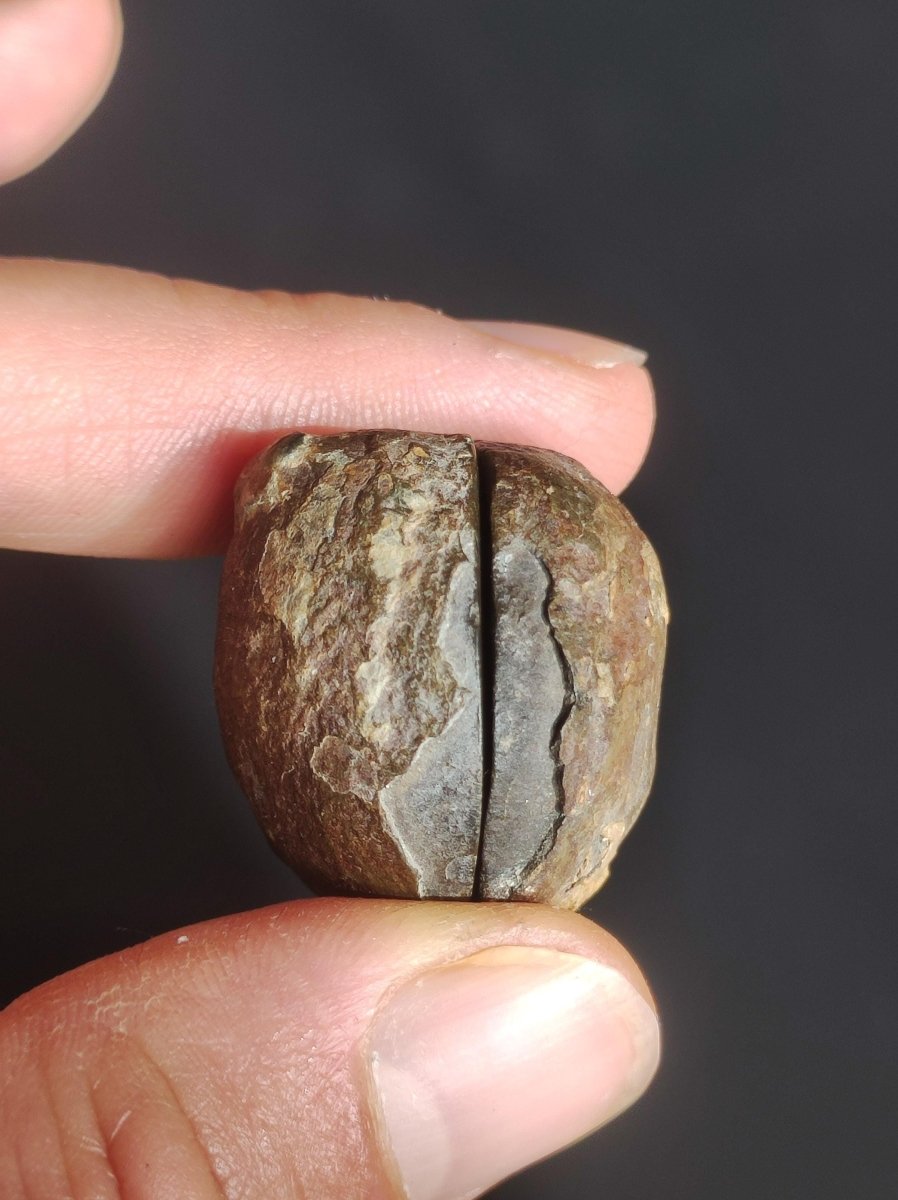 Septarie / Septischer Knoten - Edelstein Roh schwarz braun Nuss Deko Sammler Marokko Geschenk Kristall Heilstein Er Sie Freundin Unikat - Art of Nature Berlin