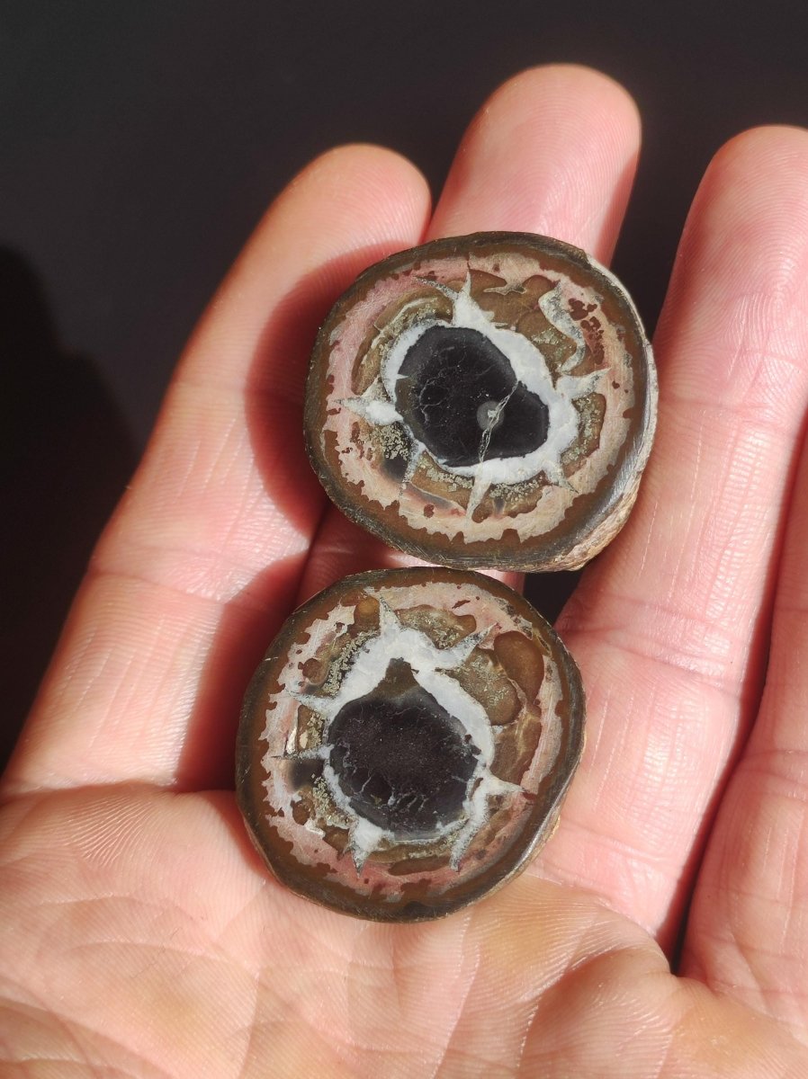 Septarie / Septischer Knoten - Edelstein Roh schwarz braun Nuss Deko Sammler Marokko Geschenk Kristall Heilstein Er Sie Freundin Unikat - Art of Nature Berlin