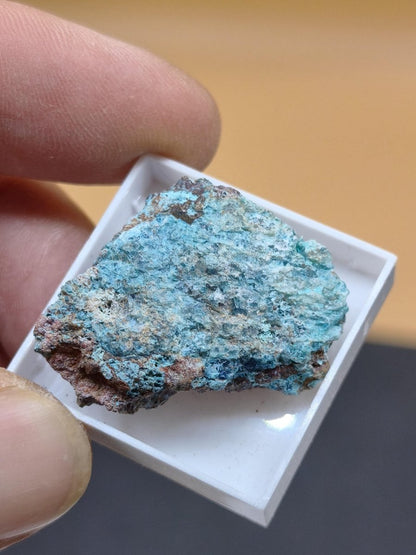 Shattuckit / Dioptas / Chrysokoll – Kaokoveld, Namibia – Stufen zur Wahl Sammler roh Mineralien Kristalle Stufe Geschenk - Art of Nature Berlin