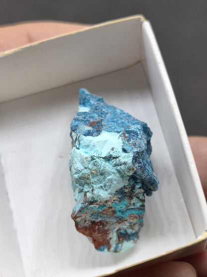 Shattuckit / Dioptas / Chrysokoll – Kaokoveld, Namibia – Stufen zur Wahl Sammler roh Mineralien Kristalle Stufe Geschenk - Art of Nature Berlin