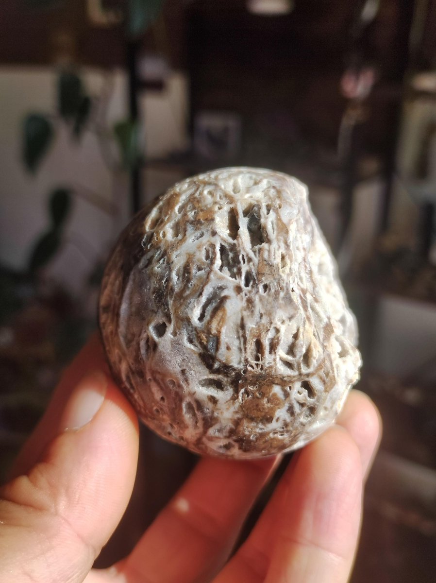 Sphalerite Druzy Geode - Edelstein Kugel Deko Sphere Massage Kristall Sammler Meditation Heilstein Frau Mann Geschenk Er Sie Haus Energie - Art of Nature Berlin