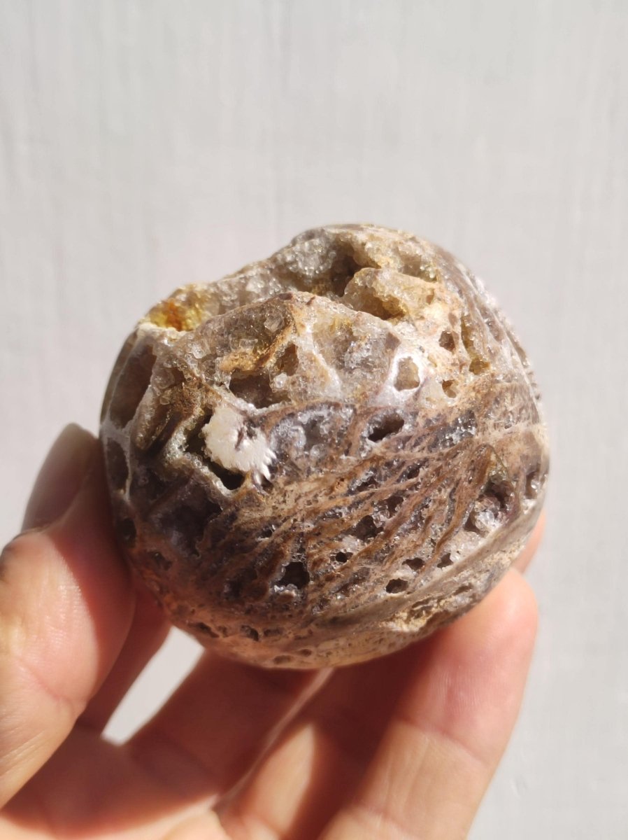 Sphalerite Druzy Geode - Edelstein Kugel Deko Sphere Massage Kristall Sammler Meditation Heilstein Frau Mann Geschenk Er Sie Haus Energie - Art of Nature Berlin