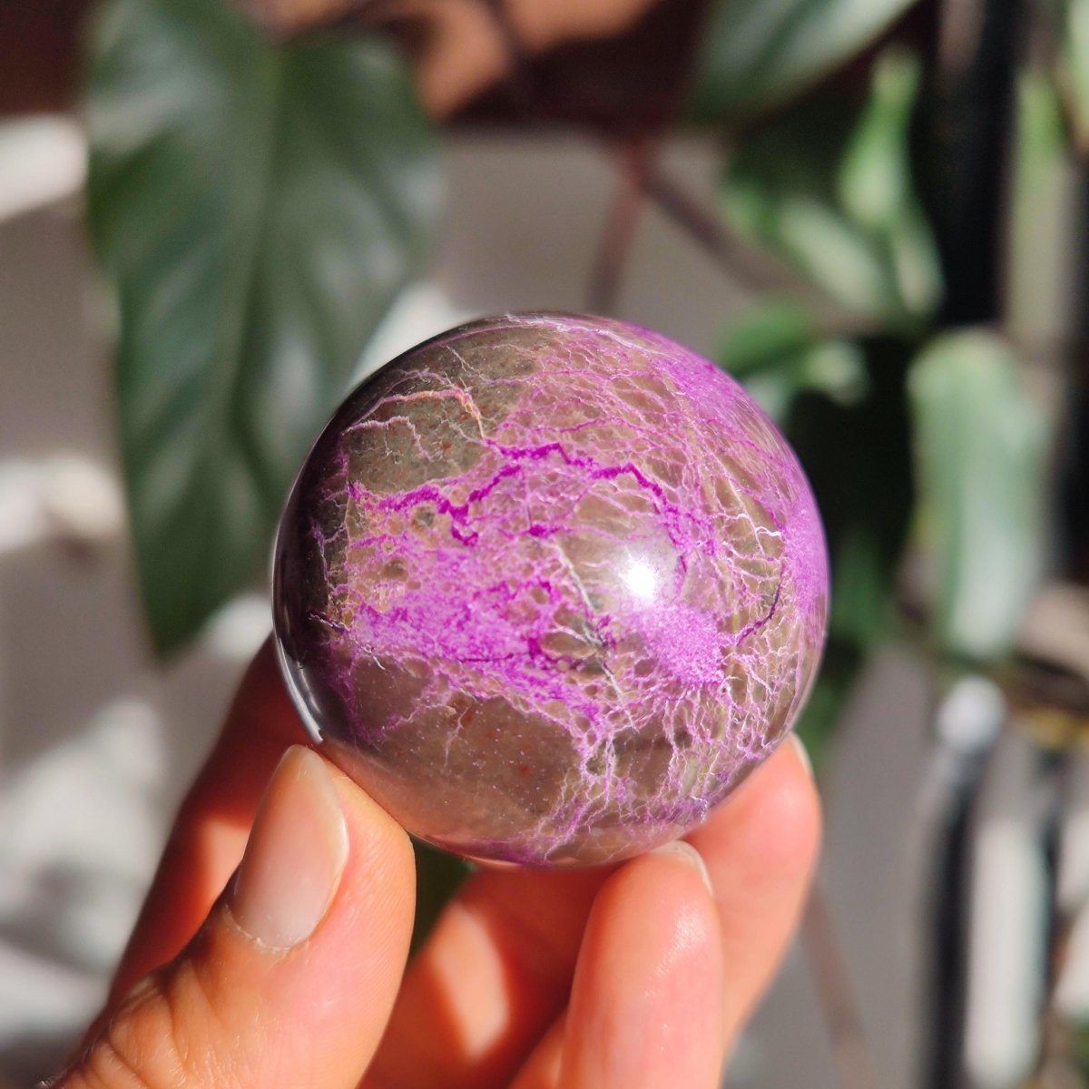 Stichtite AAA - Edelstein Kugel Natur Heilstein Deko Sphere Kristall Geschenk Er Sie Haus Einweihung Wohnung Energie Kraft Meditation - Art of Nature Berlin