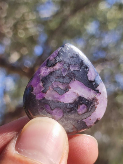 Sugilith A - 100% Natürlich Sugilite Cabochon Sammler Mineral lila hochwertig edel Geldanlage Investition Heilstein Rarität Unikat Therapie - Art of Nature Berlin