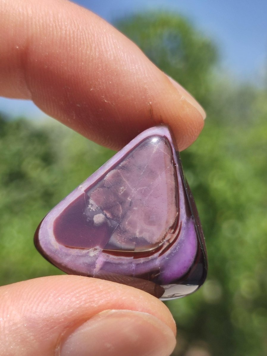 Sugilith & Bustamit - Sammler Deko Heilstein lila Handschmeichler Rarität Meditation Energie Edelstein Kristall Wert Natürlich Unikat - Art of Nature Berlin