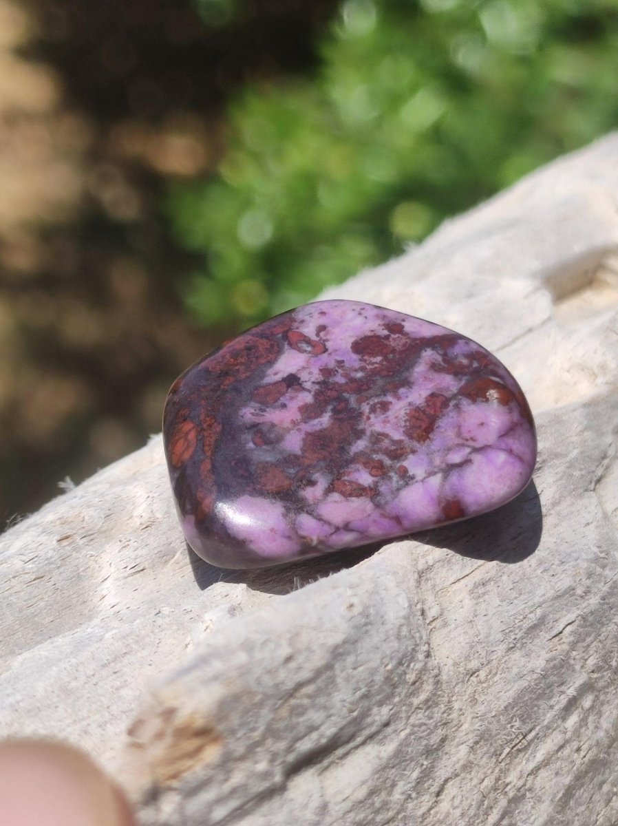 Sugilith ~ Dekostein Heilstein Meditation Energie Edelstein Trommelstein Kristall Mineral Energie Lila pink Investition Wertanlage Natürlich - Art of Nature Berlin