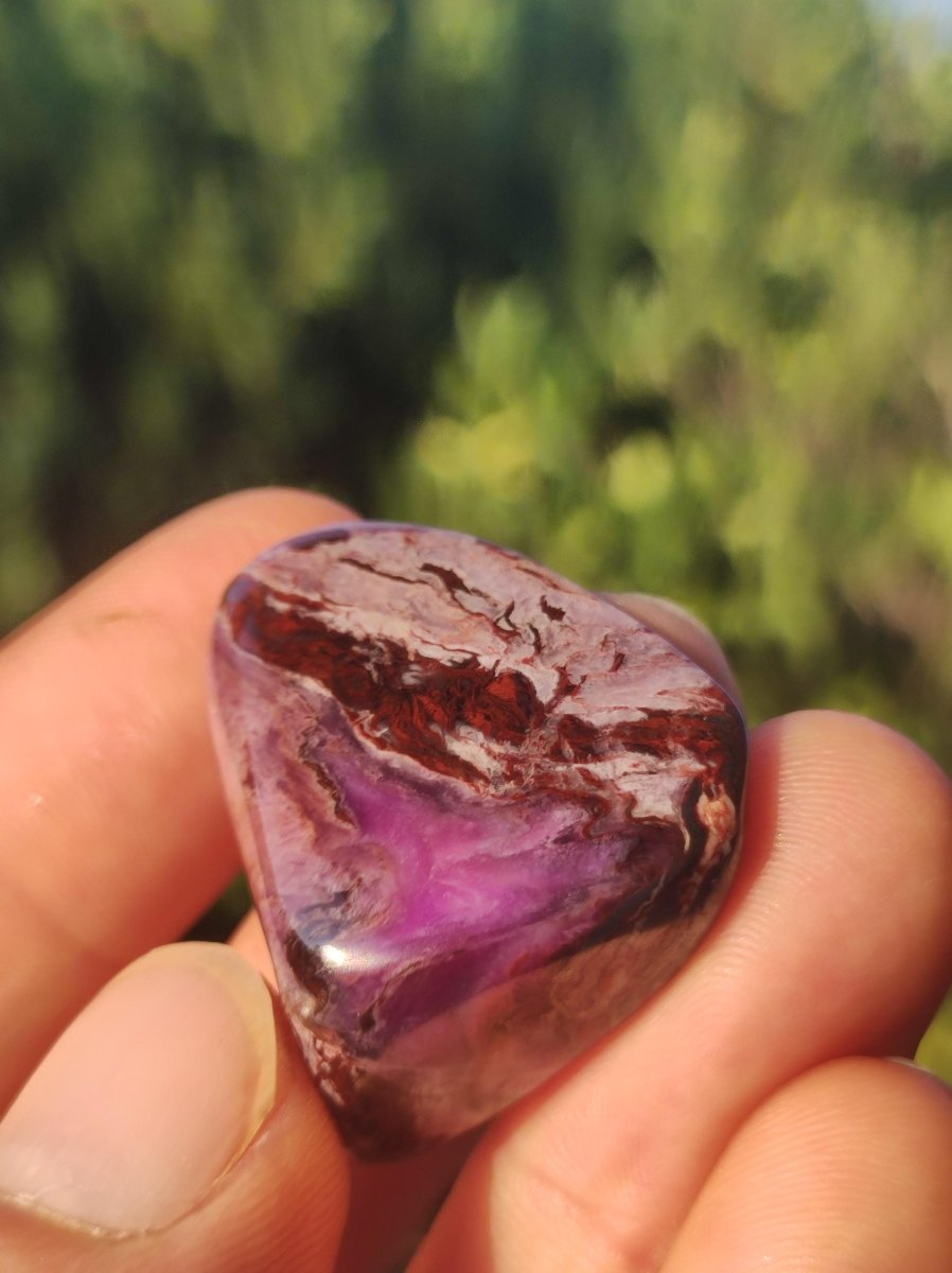 Sugilith "Gel" + Bustamit - Sammler Deko Heilstein lila Handschmeichler Rarität Meditation Energie Edelstein Kristall Wert Natürlich Unikat - Art of Nature Berlin