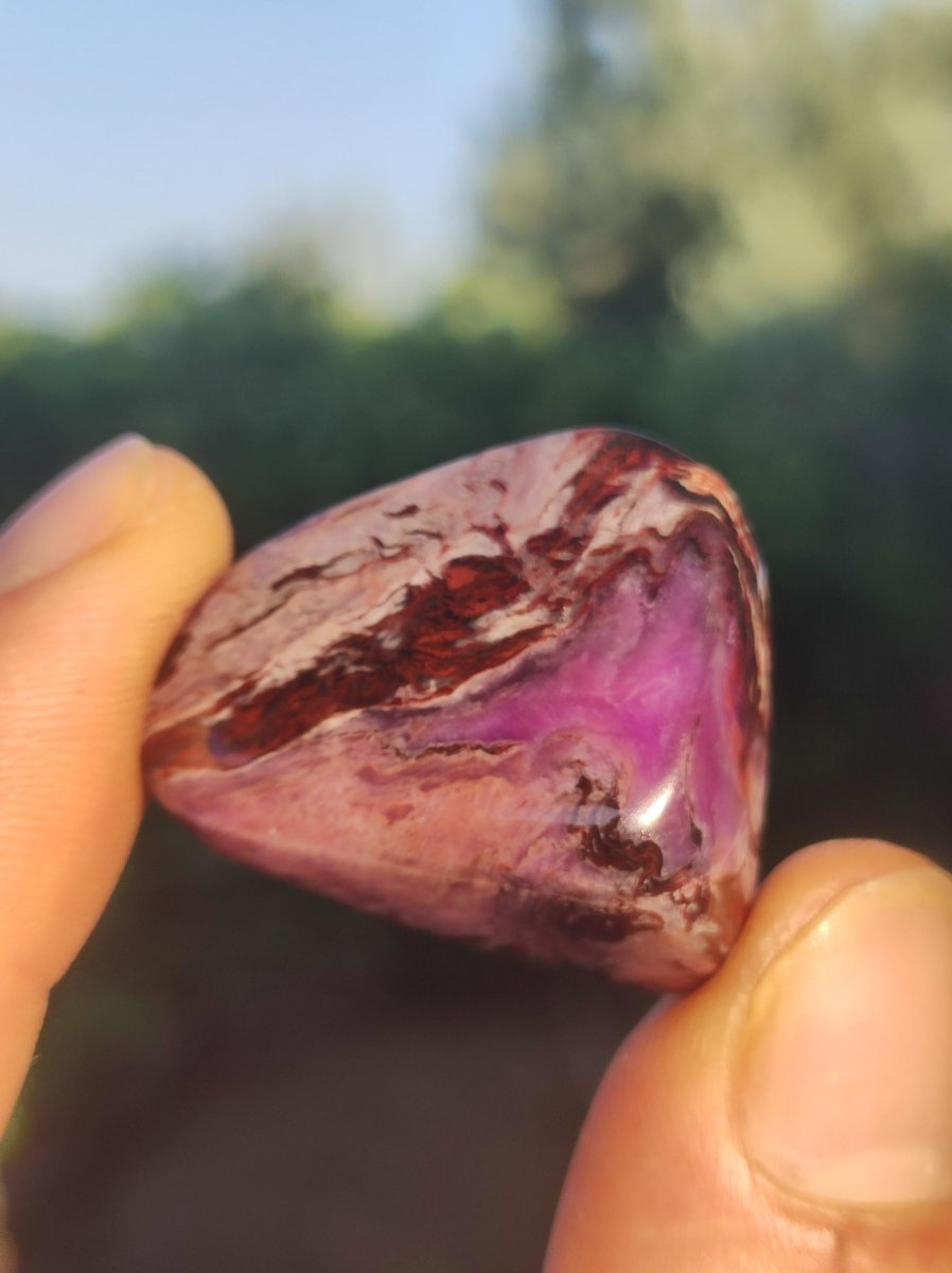 Sugilith "Gel" + Bustamit - Sammler Deko Heilstein lila Handschmeichler Rarität Meditation Energie Edelstein Kristall Wert Natürlich Unikat - Art of Nature Berlin