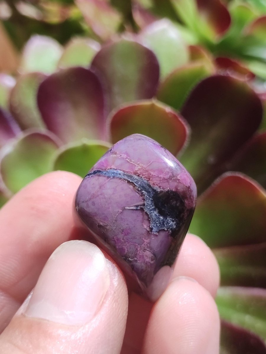 Sugilith - Sammler Deko Heilstein lila Handschmeichler Rarität Meditation Energie Edelstein Kristall Investition Wertanlage Natürlich Unikat - Art of Nature Berlin