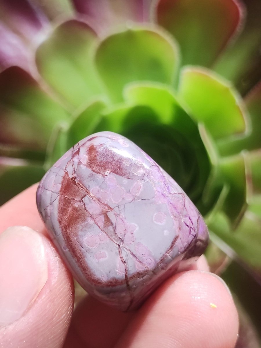 Sugilith - Sammler Deko Heilstein lila Handschmeichler Rarität Meditation Energie Edelstein Kristall Investition Wertanlage Natürlich Unikat - Art of Nature Berlin