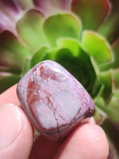 Sugilith - Sammler Deko Heilstein lila Handschmeichler Rarität Meditation Energie Edelstein Kristall Investition Wertanlage Natürlich Unikat - Art of Nature Berlin