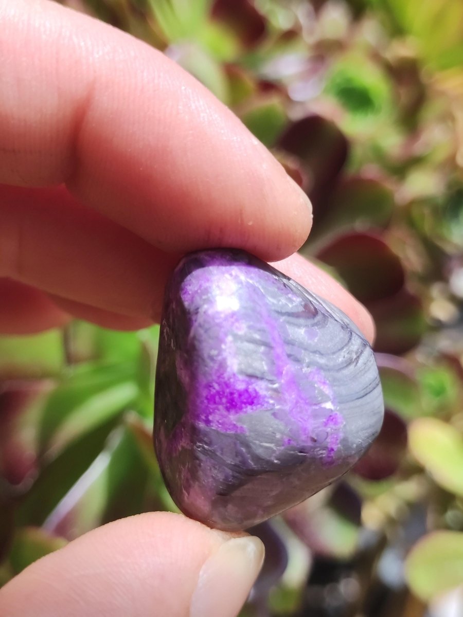 Sugilith - Sammler Deko Heilstein lila Handschmeichler Rarität Meditation Energie Edelstein Kristall Investition Wertanlage Natürlich Unikat - Art of Nature Berlin