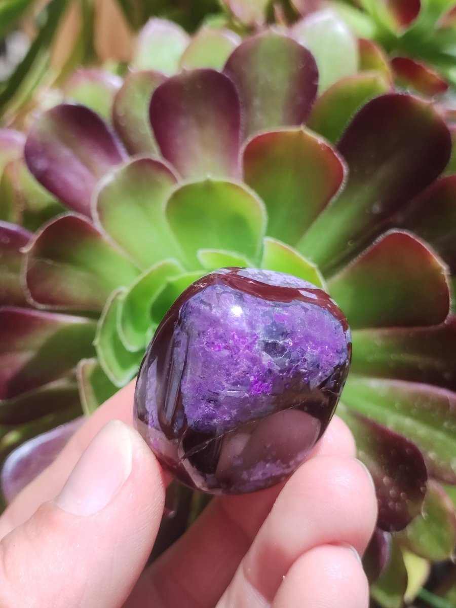 Sugilith - Sammler Deko Heilstein lila Handschmeichler Rarität Meditation Energie Edelstein Kristall Investition Wertanlage Natürlich Unikat - Art of Nature Berlin