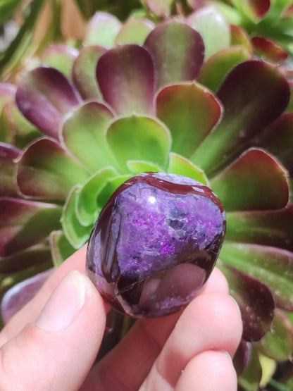 Sugilith - Sammler Deko Heilstein lila Handschmeichler Rarität Meditation Energie Edelstein Kristall Investition Wertanlage Natürlich Unikat - Art of Nature Berlin