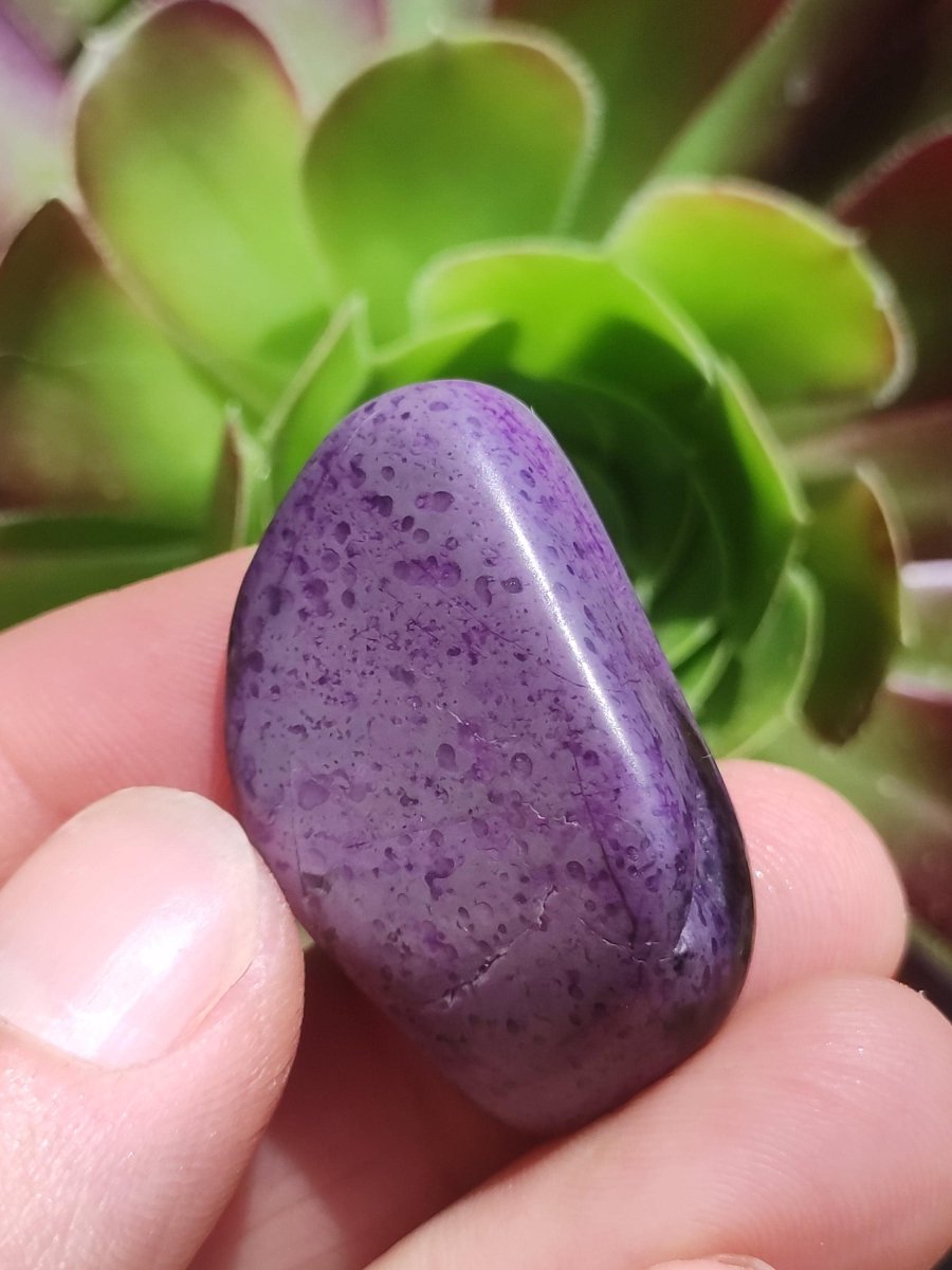 Sugilith - Sammler Deko Heilstein lila Handschmeichler Rarität Meditation Energie Edelstein Kristall Investition Wertanlage Natürlich Unikat - Art of Nature Berlin