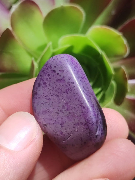 Sugilith - Sammler Deko Heilstein lila Handschmeichler Rarität Meditation Energie Edelstein Kristall Investition Wertanlage Natürlich Unikat - Art of Nature Berlin