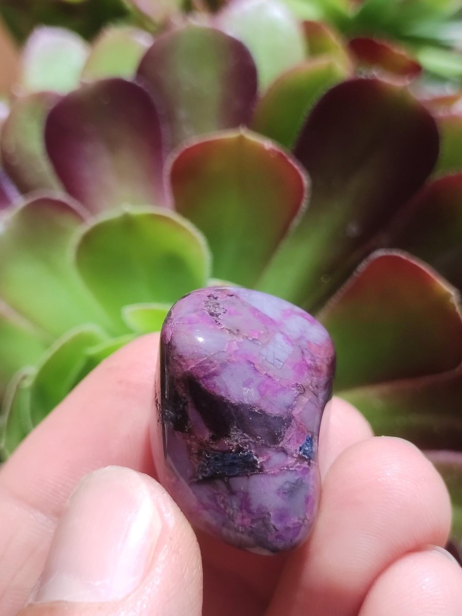 Sugilith - Sammler Deko Heilstein lila Handschmeichler Rarität Meditation Energie Edelstein Kristall Investition Wertanlage Natürlich Unikat - Art of Nature Berlin