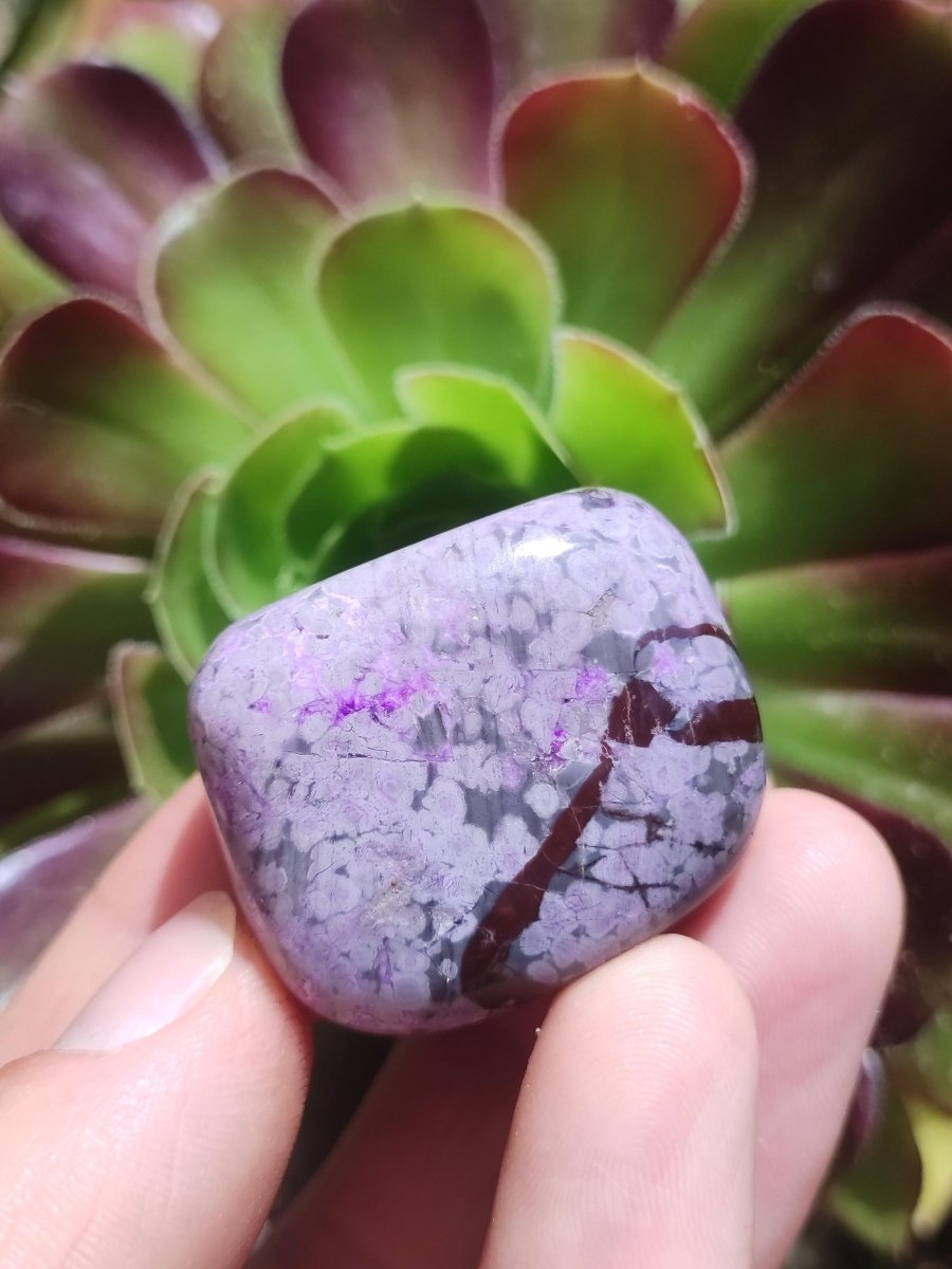 Sugilith - Sammler Deko Heilstein lila Handschmeichler Rarität Meditation Energie Edelstein Kristall Investition Wertanlage Natürlich Unikat - Art of Nature Berlin