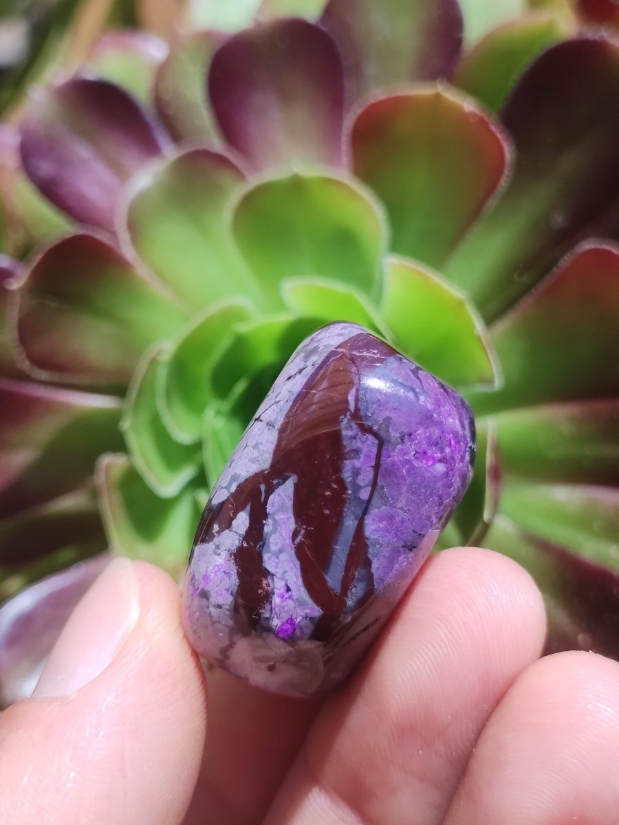 Sugilith - Sammler Deko Heilstein lila Handschmeichler Rarität Meditation Energie Edelstein Kristall Investition Wertanlage Natürlich Unikat - Art of Nature Berlin