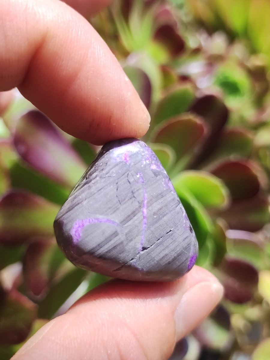 Sugilith - Sammler Deko Heilstein lila Handschmeichler Rarität Meditation Energie Edelstein Kristall Investition Wertanlage Natürlich Unikat - Art of Nature Berlin