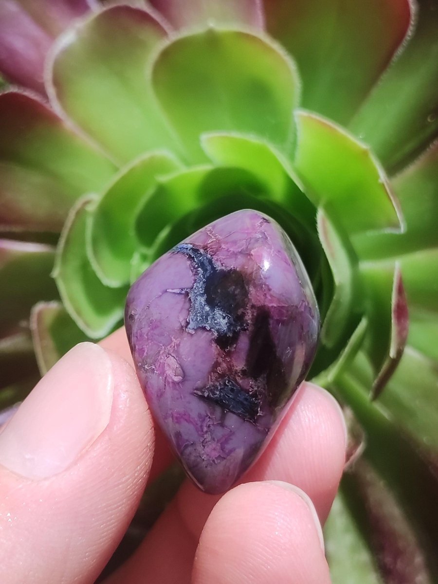 Sugilith - Sammler Deko Heilstein lila Handschmeichler Rarität Meditation Energie Edelstein Kristall Investition Wertanlage Natürlich Unikat - Art of Nature Berlin