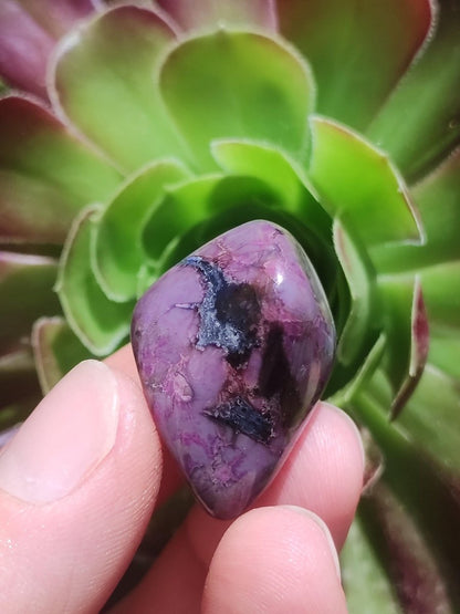 Sugilith - Sammler Deko Heilstein lila Handschmeichler Rarität Meditation Energie Edelstein Kristall Investition Wertanlage Natürlich Unikat - Art of Nature Berlin