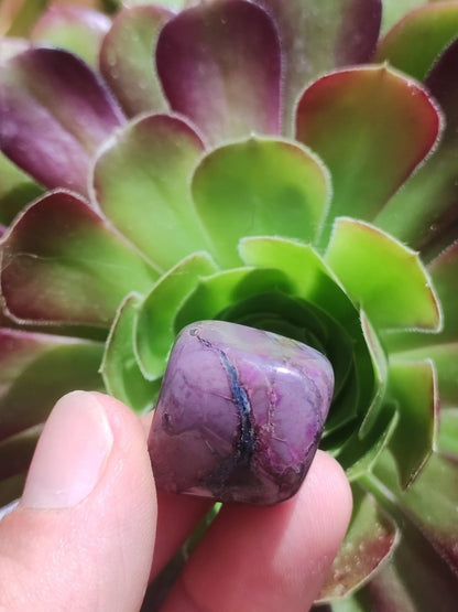 Sugilith - Sammler Deko Heilstein lila Handschmeichler Rarität Meditation Energie Edelstein Kristall Investition Wertanlage Natürlich Unikat - Art of Nature Berlin
