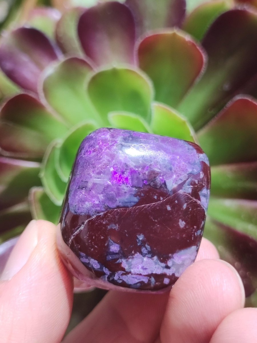 Sugilith - Sammler Deko Heilstein lila Handschmeichler Rarität Meditation Energie Edelstein Kristall Investition Wertanlage Natürlich Unikat - Art of Nature Berlin