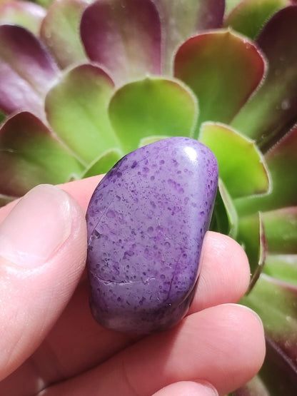 Sugilith - Sammler Deko Heilstein lila Handschmeichler Rarität Meditation Energie Edelstein Kristall Investition Wertanlage Natürlich Unikat - Art of Nature Berlin