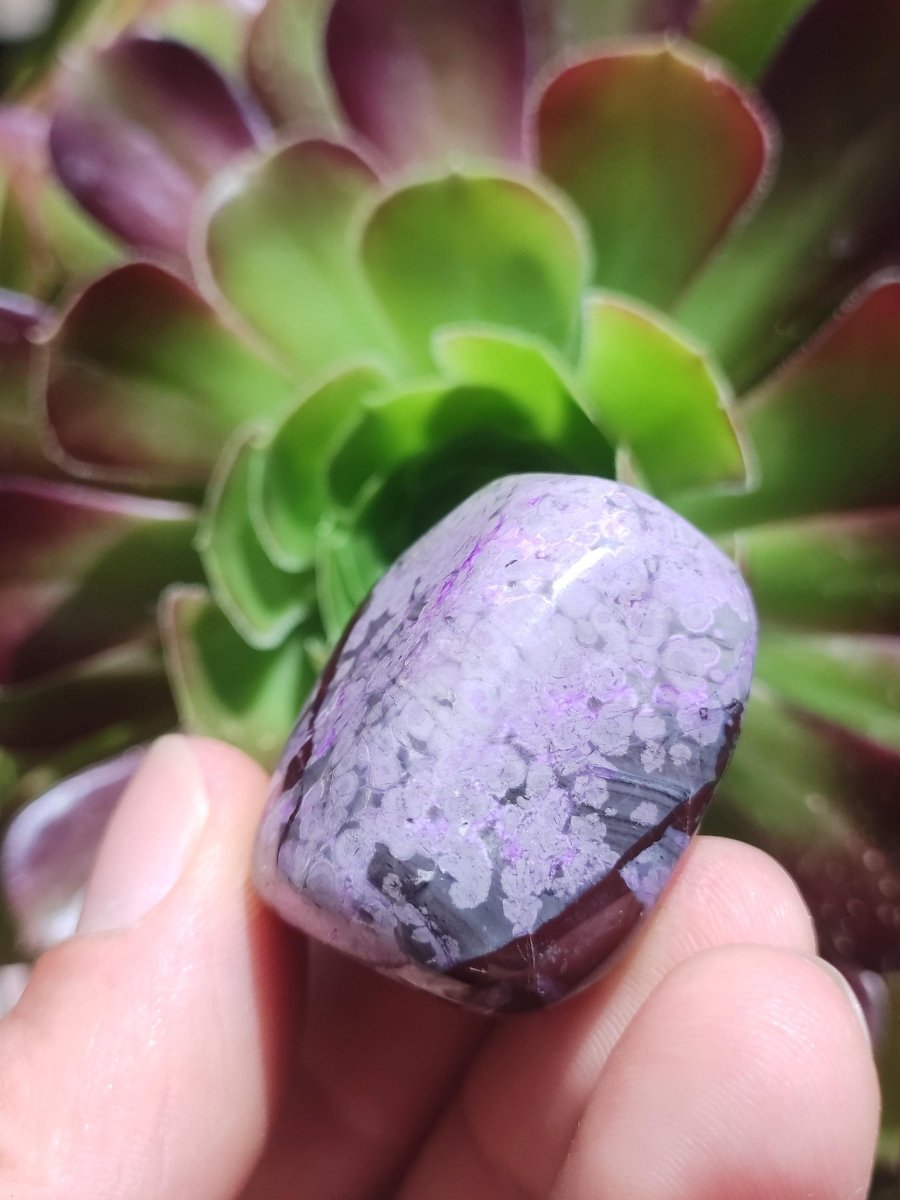 Sugilith - Sammler Deko Heilstein lila Handschmeichler Rarität Meditation Energie Edelstein Kristall Investition Wertanlage Natürlich Unikat - Art of Nature Berlin