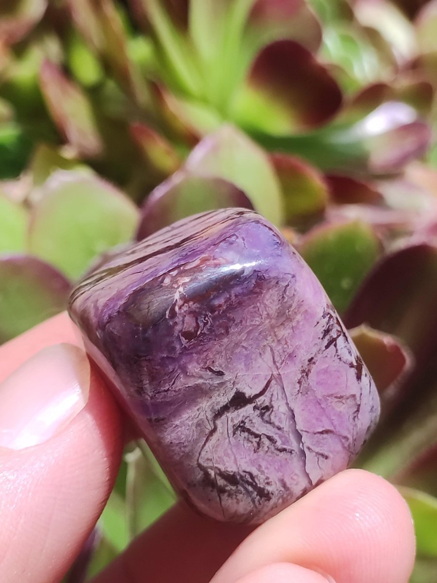 Sugilith - Sammler Deko Heilstein lila Handschmeichler Rarität Meditation Energie Edelstein Kristall Investition Wertanlage Natürlich Unikat - Art of Nature Berlin