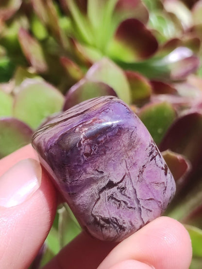 Sugilith - Sammler Deko Heilstein lila Handschmeichler Rarität Meditation Energie Edelstein Kristall Investition Wertanlage Natürlich Unikat - Art of Nature Berlin