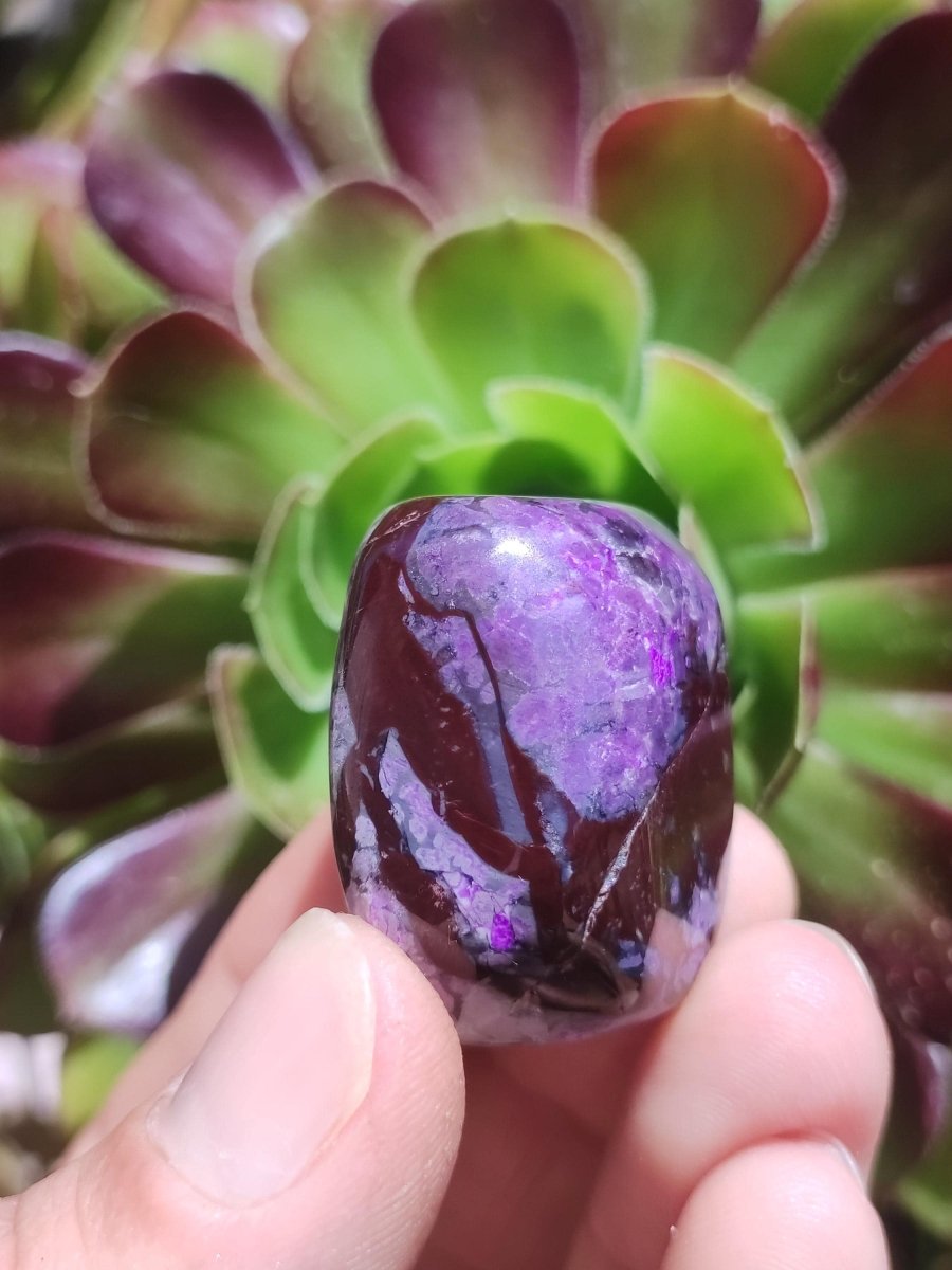 Sugilith - Sammler Deko Heilstein lila Handschmeichler Rarität Meditation Energie Edelstein Kristall Investition Wertanlage Natürlich Unikat - Art of Nature Berlin