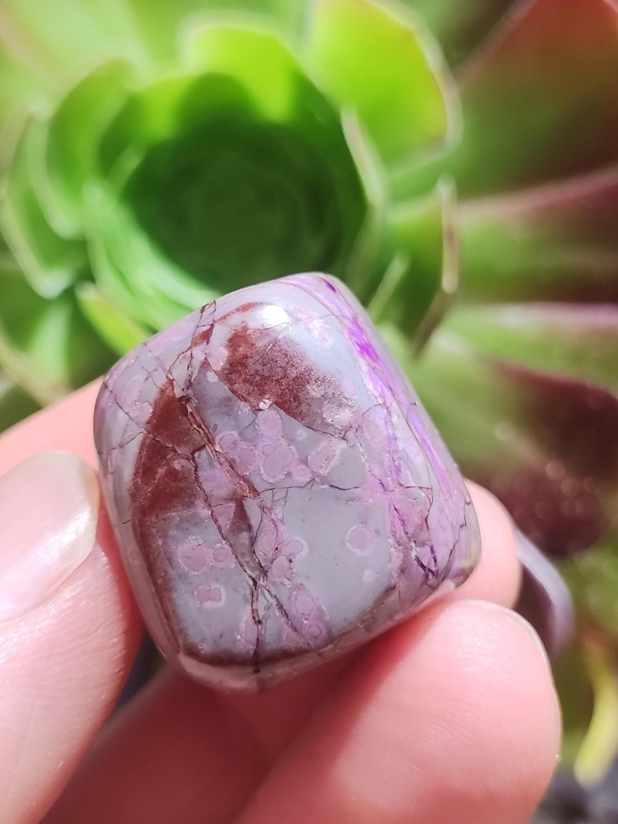 Sugilith - Sammler Deko Heilstein lila Handschmeichler Rarität Meditation Energie Edelstein Kristall Investition Wertanlage Natürlich Unikat - Art of Nature Berlin