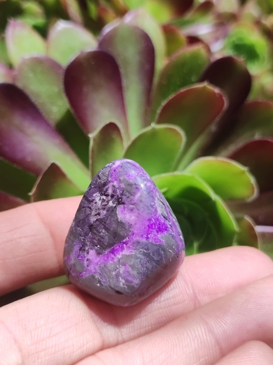 Sugilith - Sammler Deko Heilstein lila Handschmeichler Rarität Meditation Energie Edelstein Kristall Investition Wertanlage Natürlich Unikat - Art of Nature Berlin