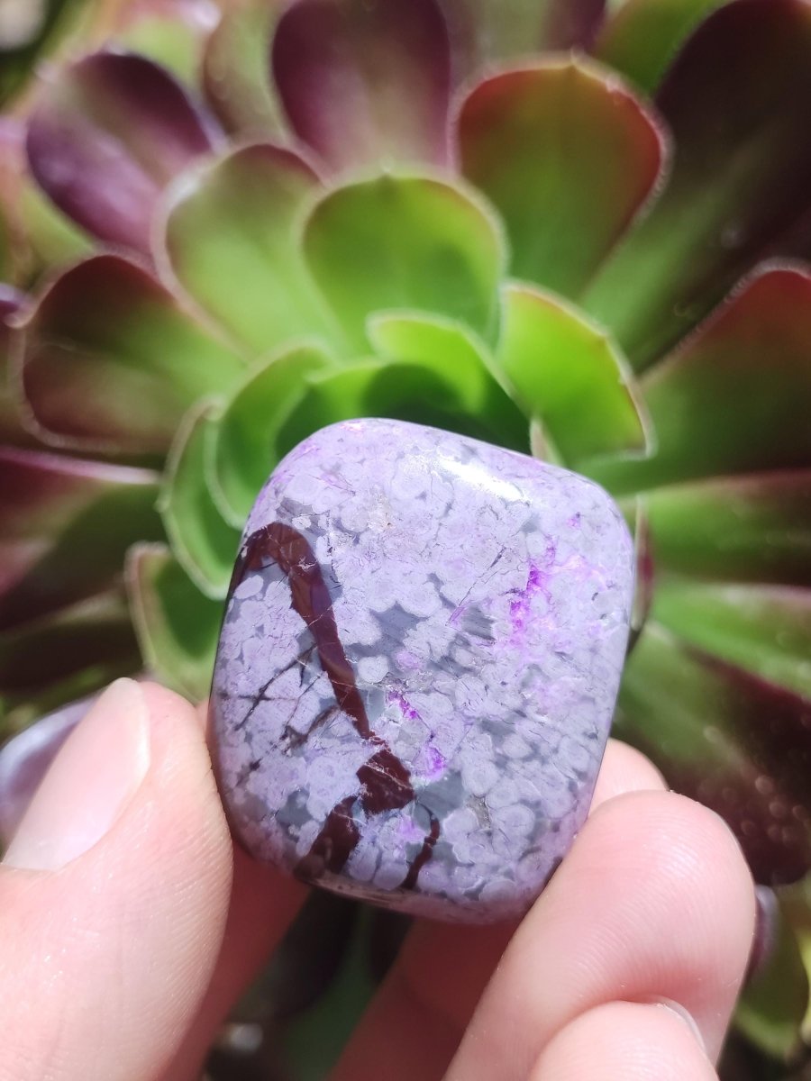 Sugilith - Sammler Deko Heilstein lila Handschmeichler Rarität Meditation Energie Edelstein Kristall Investition Wertanlage Natürlich Unikat - Art of Nature Berlin