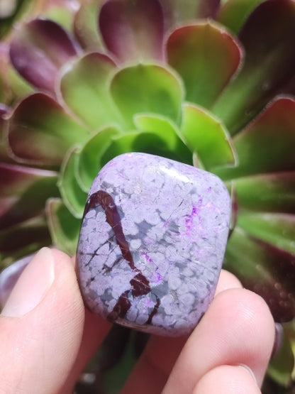 Sugilith - Sammler Deko Heilstein lila Handschmeichler Rarität Meditation Energie Edelstein Kristall Investition Wertanlage Natürlich Unikat - Art of Nature Berlin