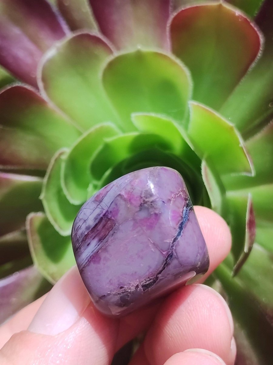 Sugilith - Sammler Deko Heilstein lila Handschmeichler Rarität Meditation Energie Edelstein Kristall Investition Wertanlage Natürlich Unikat - Art of Nature Berlin
