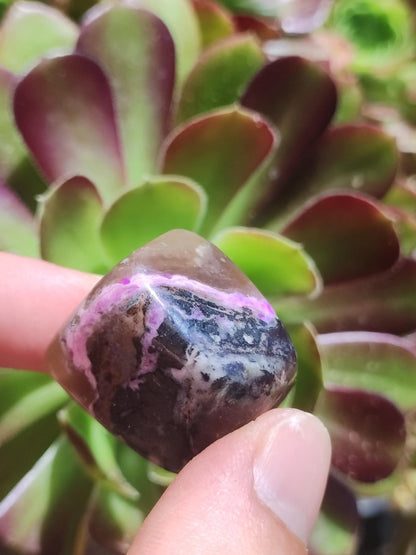 Sugilith - Sammler Deko Heilstein lila Handschmeichler Rarität Meditation Energie Edelstein Kristall Investition Wertanlage Natürlich Unikat - Art of Nature Berlin