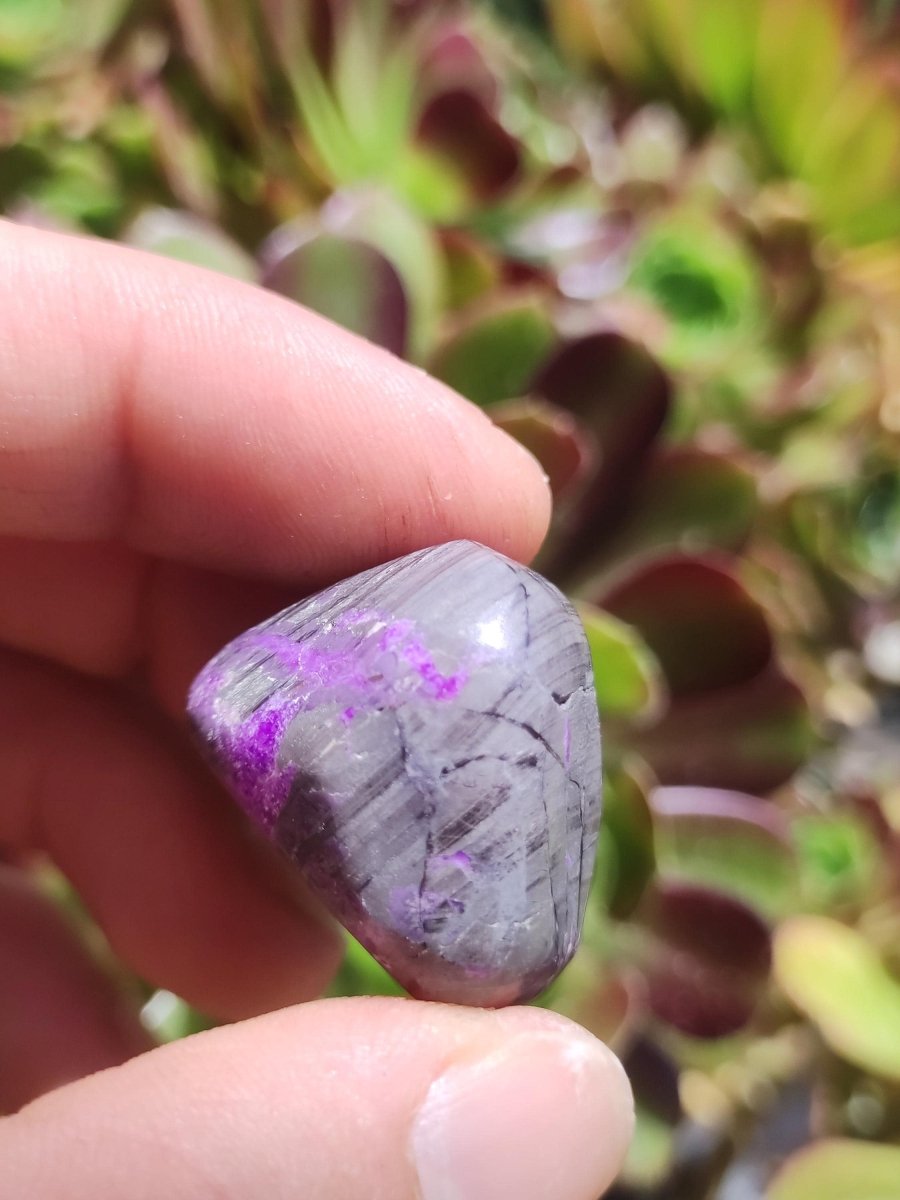 Sugilith - Sammler Deko Heilstein lila Handschmeichler Rarität Meditation Energie Edelstein Kristall Investition Wertanlage Natürlich Unikat - Art of Nature Berlin