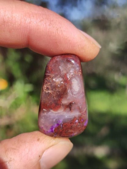 Sugilith - Sammler Deko Heilstein lila Handschmeichler Rarität Meditation Energie Edelstein Kristall Investition Wertanlage Natürlich Unikat - Art of Nature Berlin