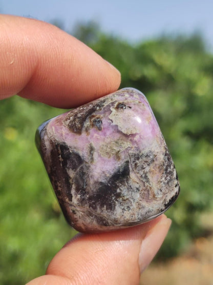 Sugilith - Sammler Deko Heilstein lila Handschmeichler Rarität Meditation Energie Edelstein Kristall Investition Wertanlage Natürlich Unikat - Art of Nature Berlin