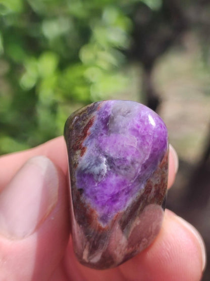 Sugilith - Sammler Deko Heilstein lila Handschmeichler Rarität Meditation Energie Edelstein Kristall Investition Wertanlage Natürlich Unikat - Art of Nature Berlin