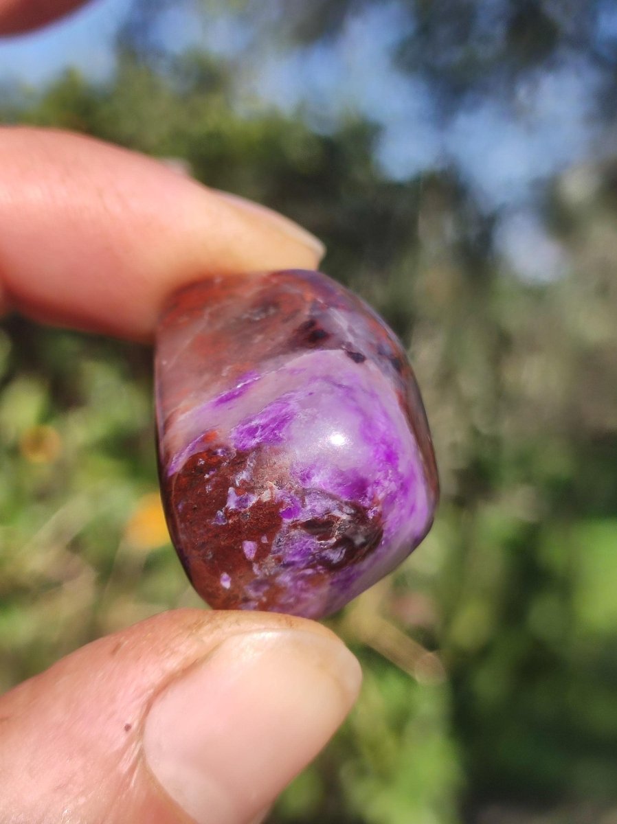 Sugilith - Sammler Deko Heilstein lila Handschmeichler Rarität Meditation Energie Edelstein Kristall Investition Wertanlage Natürlich Unikat - Art of Nature Berlin