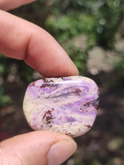 Sugilith - Sammler Deko Heilstein lila Handschmeichler Rarität Meditation Energie Edelstein Kristall Investition Wertanlage Natürlich Unikat - Art of Nature Berlin